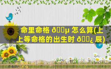 命里命格 🌵 怎么算(上上等命格的出生时 🌿 辰)